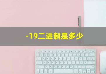 -19二进制是多少