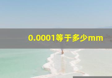 0.0001等于多少mm