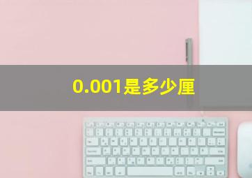 0.001是多少厘