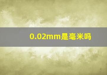 0.02mm是毫米吗