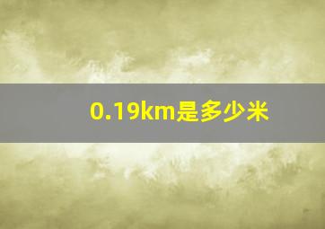 0.19km是多少米