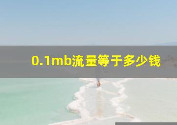 0.1mb流量等于多少钱