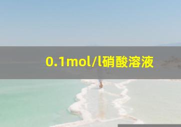 0.1mol/l硝酸溶液