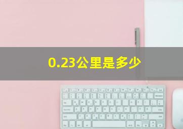 0.23公里是多少