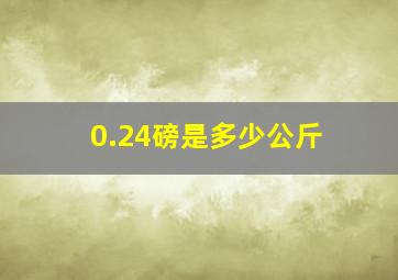 0.24磅是多少公斤