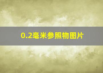 0.2毫米参照物图片