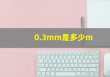 0.3mm是多少m