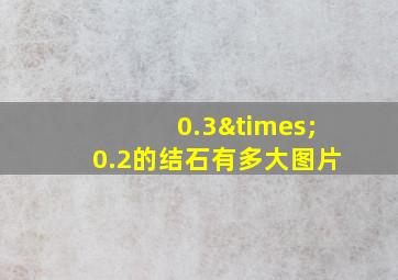 0.3×0.2的结石有多大图片