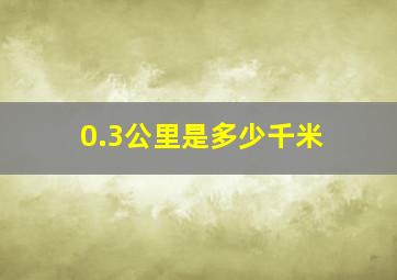 0.3公里是多少千米