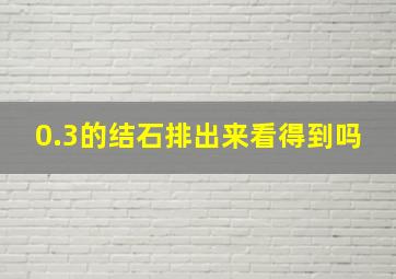 0.3的结石排出来看得到吗