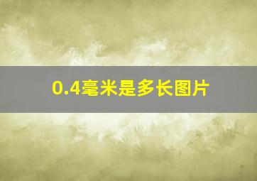 0.4毫米是多长图片