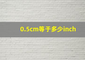 0.5cm等于多少inch