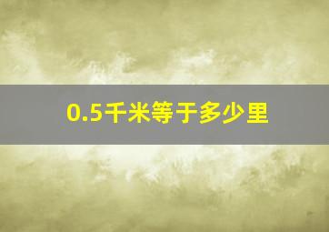 0.5千米等于多少里