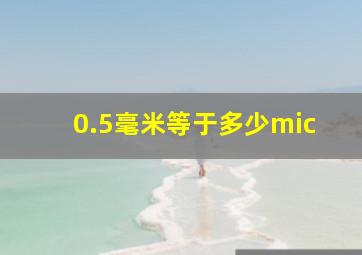 0.5毫米等于多少mic