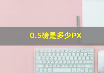 0.5磅是多少PX