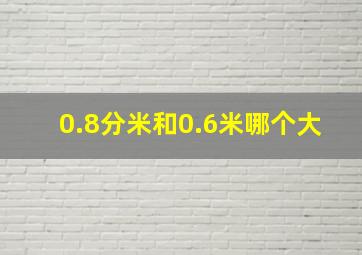 0.8分米和0.6米哪个大