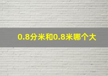 0.8分米和0.8米哪个大