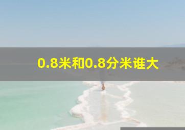 0.8米和0.8分米谁大