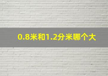 0.8米和1.2分米哪个大