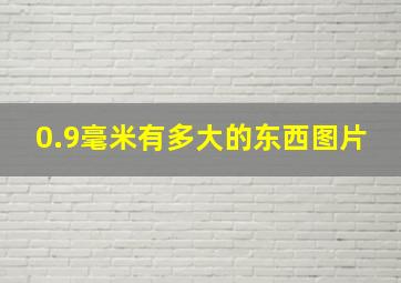 0.9毫米有多大的东西图片