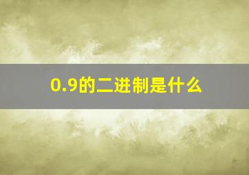 0.9的二进制是什么