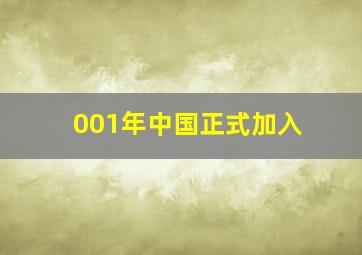 001年中国正式加入