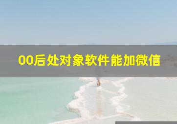 00后处对象软件能加微信