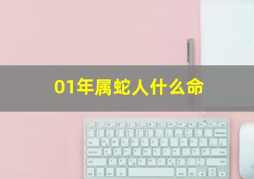 01年属蛇人什么命