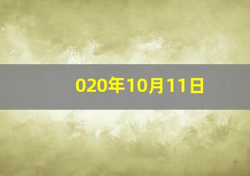 020年10月11日