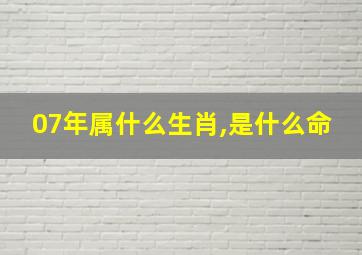 07年属什么生肖,是什么命