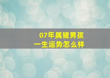 07年属猪男孩一生运势怎么样