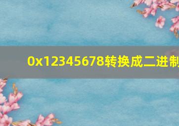 0x12345678转换成二进制