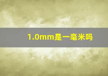 1.0mm是一毫米吗