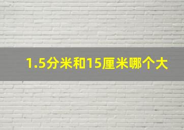 1.5分米和15厘米哪个大