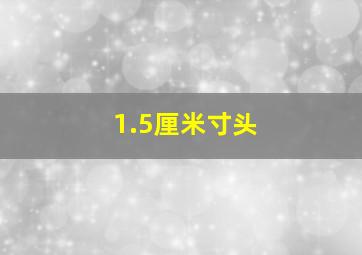 1.5厘米寸头