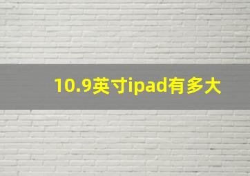 10.9英寸ipad有多大