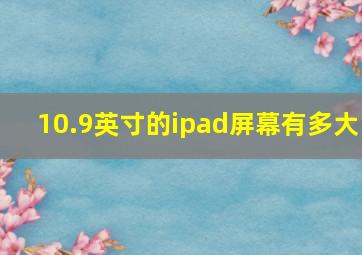 10.9英寸的ipad屏幕有多大