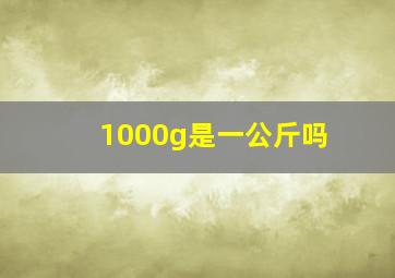 1000g是一公斤吗