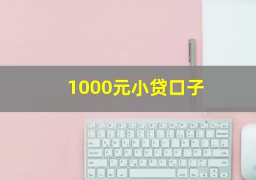 1000元小贷口子