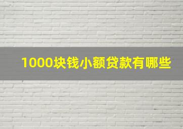 1000块钱小额贷款有哪些