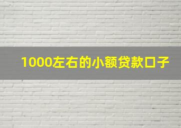 1000左右的小额贷款口子