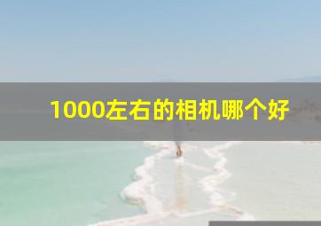 1000左右的相机哪个好