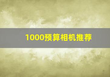 1000预算相机推荐