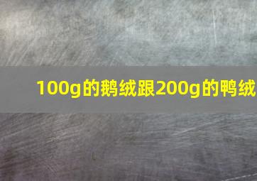 100g的鹅绒跟200g的鸭绒