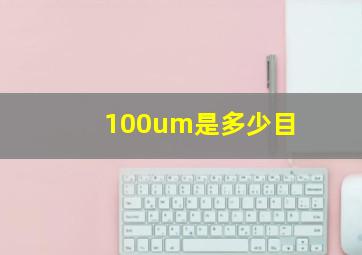 100um是多少目