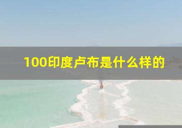 100印度卢布是什么样的