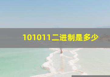 101011二进制是多少