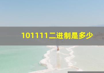 101111二进制是多少