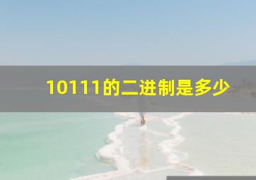 10111的二进制是多少