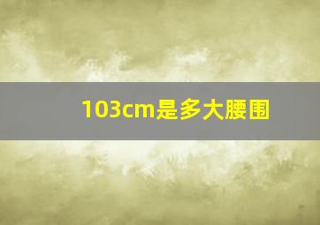 103cm是多大腰围